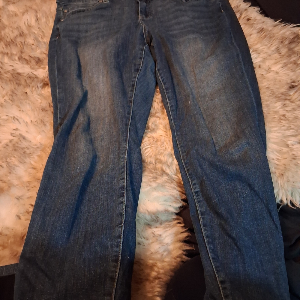 Liverpool Blue Ankle Skinny Jeans